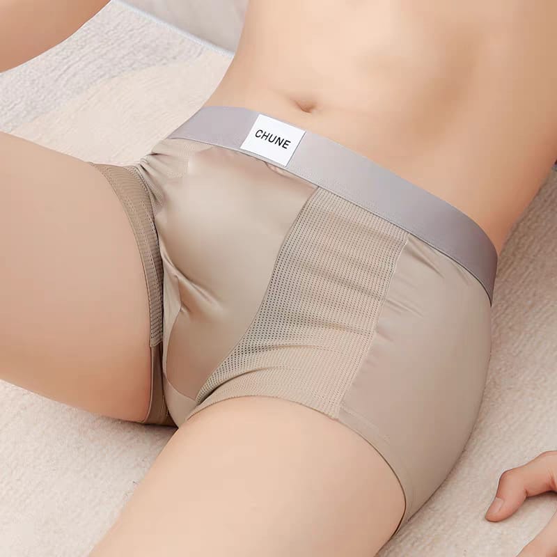 Premium Ice Silk Boxer Briefs