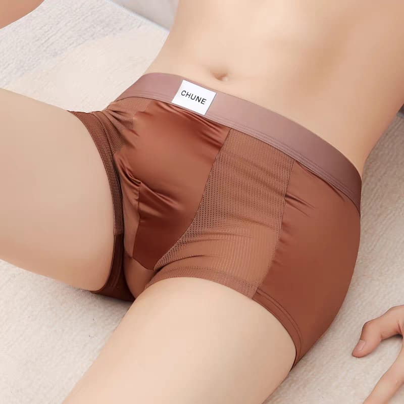 Premium Ice Silk Boxer Briefs