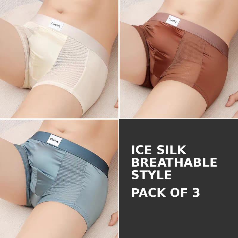 Premium Ice Silk Boxer Briefs