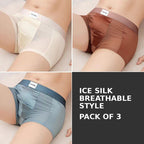 Premium Ice Silk Boxer Briefs