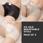 Premium Ice Silk Boxer Briefs